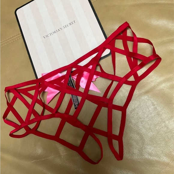 (M)Victoria's Secret VERY SEXY Caged Ouvert Cheeky Panty - Picture 6 of 6